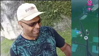 Pokemon Go - Ave de galar de novo!!! Bugou a caminhada...