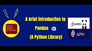 Learn Pandas in 20 minutes 🐼🐼 A Python Library ✨ A Quick Introduction to the basic concepts  ✅