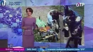 Султан Хамзаев о необходимости запрета продажи алкоголя в магазинах жилых домов