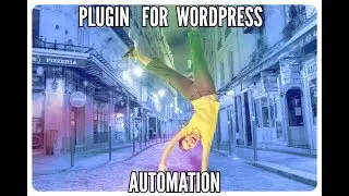How To Use WordPress Automation