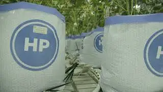 PRO-MIX® HP® MYCORRHIZAE Open Top Grow Bags - Work Less and Grow More!