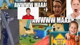 Chase Elliott fans be like: