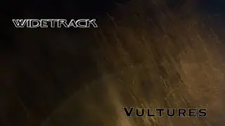 Widetrack - Vultures - lyric video