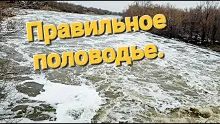 Половодье 2023 в Житикаре.