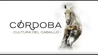 Córdoba, Cultura del Caballo Pura Raza Española