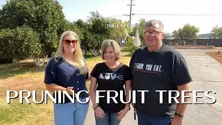 A Lesson in Fruit Trees from the EXPERTS! :: Pruning, Best Practices and More!