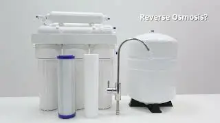 Which water is the best?