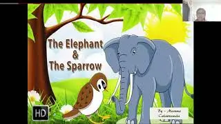 English Stories: The Elephant & The Sparrow - Class 3 | Lesson 2