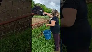 El Fonoll, naturaleza, belleza y armonía