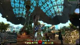 Guild wars 2