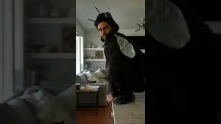 Man vs Fly part 2 