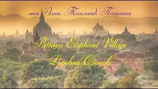 Pattaya Elephant Village. Деревня Слонов)