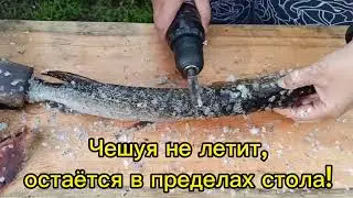 Рыбочистка из шуруповёрта. Ди-вай-вай 