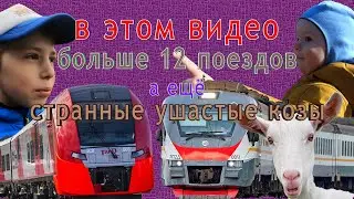 сборник видео с ПОЕЗДАМИ от Марка и Ильи