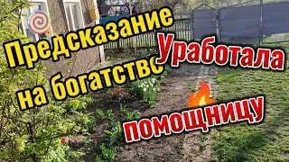 С утра было оптимистичное предсказание, а к вечеру чуть руки не отпали😂 жизнь в Краснодарском крае