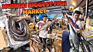 Mumbai Biggest Fish Market 😱🔥|Kanda Lovers|