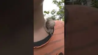 Сынок Левка с подружкой улиткой