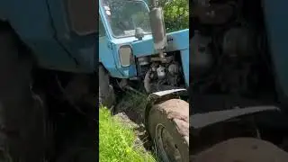 Трактор МТЗ 82 застрял в Болото
