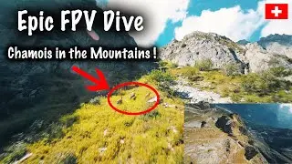 Drone FPV | Les Marécottes | Cinematic FPV GoPro + Gyroflow 2023 (Switzerland)