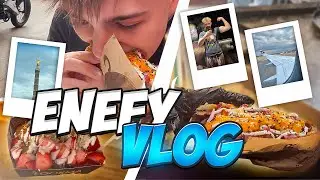 Enefy Bootcamp Vlog