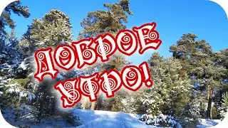 Доброе утро! 🌸Невероятно красиво!🌸 Приглашаю вас в зимний лес🌸Good morning!🌸