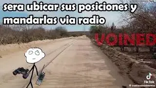 el niño que se creyó un ave