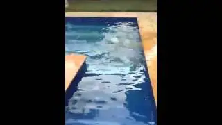 Piscina ❤