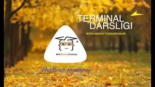 Terminal nima? | Terminal tushunchalari | Command Line | Bash