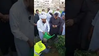 عبد الحبیب عطاری پودا لگاتے ہوئے || plantation day || Abdul Habib attari || FGRF || madani chennal