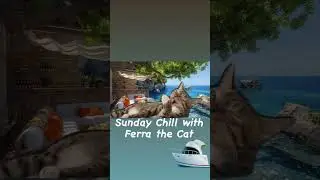 Ferra the Cat at the Copa Cabana Beach