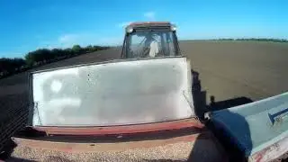 Посев ячменя сорт Луран