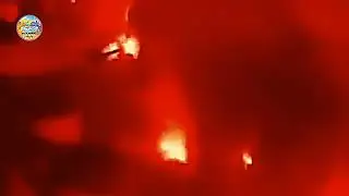 BRIGATA CURVA SUD COMPILATION #ultras #brigatacurvasud #compilation