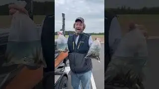 Shiners on Minnesota Opener 2023 - hope everyone had a great day! #bait #mn #opener #walleye