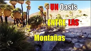 POR FIN LO ENCONTRÉ un oasis escondido entre las montañas.