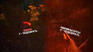 И так всегда... | STALCRAFT