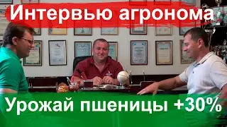 Урожайность пшеницы +30% - интервью агронома ТОВ Маяк Сергея Семенко
