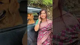 Pati ko Bachaya 💪🏻😍 #shorts #trendingshorts #funnyvideo #comedy #viral #meghachaube