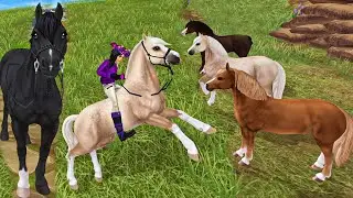 New Welsh Pony Star Stable Online Horses Update
