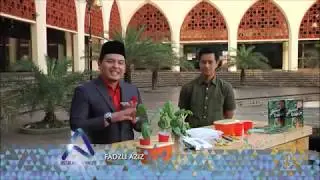 DIY Hidroponik Bekas Aiskrim