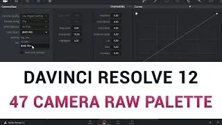 DaVinci Resolve 12 - 47 Camera RAW Palette