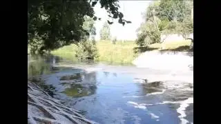 Остер: винен 