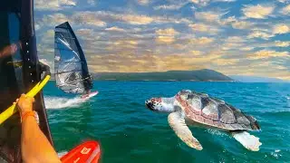 We went SLALOM WINDSURFING in between TURTLES and fishernets