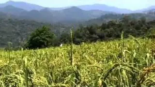Steve Irwin - Crocodile Hunter - Die Schlangeninsel (4/4)
