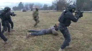 SEVP - PEST - K9