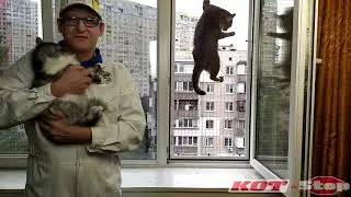 🐱Защитная Сетка Решетка антикошка. ЕВРОПЕЙСКАЯ решетка  КОТ Stop  выдерживает сразу несколько котов.
