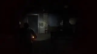 Last of us 2 - Сиетл День 2. С Джойлом