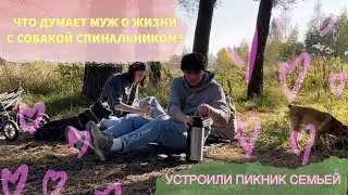 ЖИЗНЬ СО СПИНАЛЬНИКОМ ОТ ЛИЦА МУЖА | ПИКНИК С СОБАКАМИ