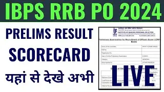 IBPS RRB PO prelims result 2024 kaise dekhen, IBPS RRB PO prelims result 2024 kaise check Karen