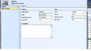 Microsoft Dynamics CRM Customizations: Create an Attribute in MS Dynamics CRM