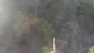 Lance a jabalí en batida